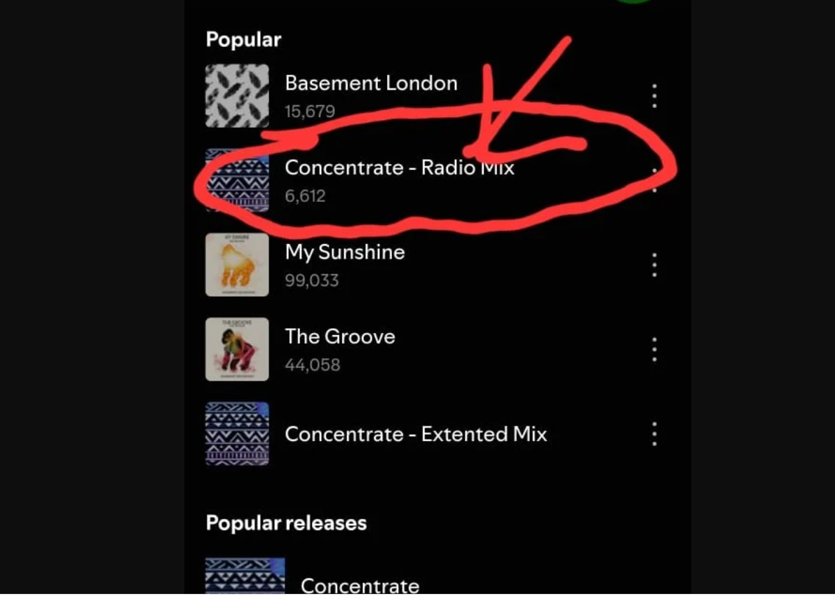 Spotify track promotion sample
