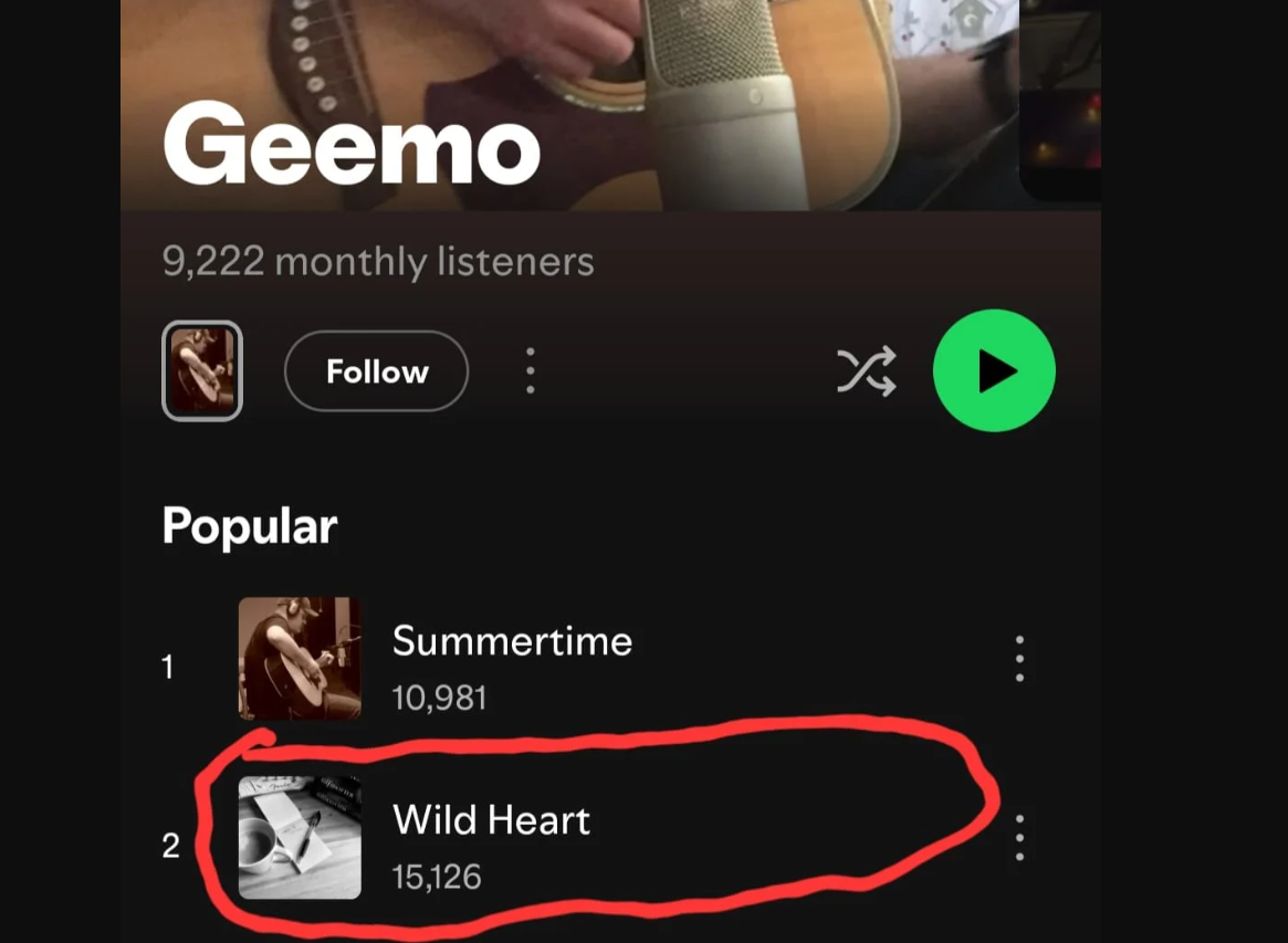 Spotify artist profile sample