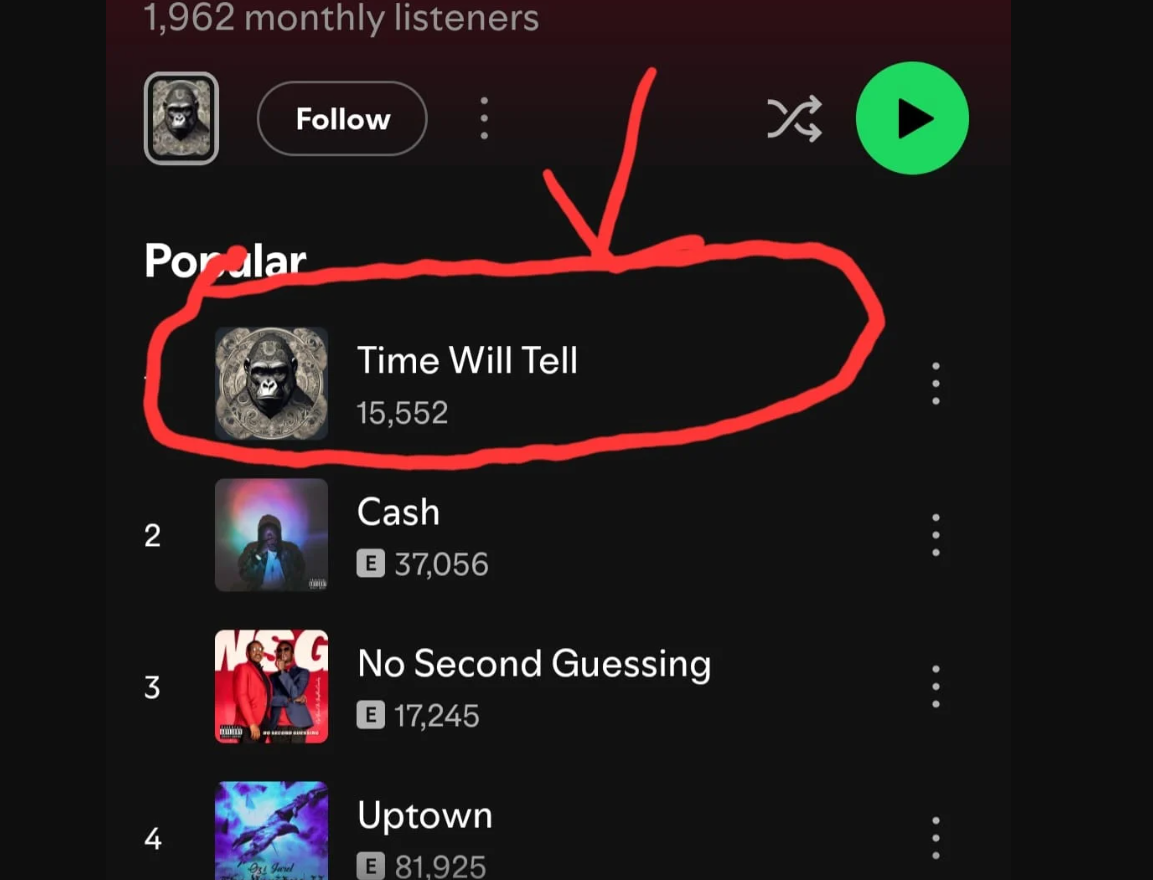 Spotify track promotion sample